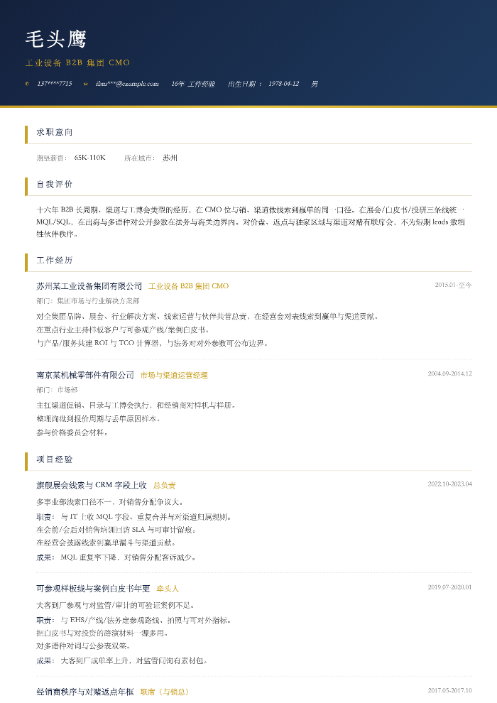 工业设备 B2B 集团 CMO