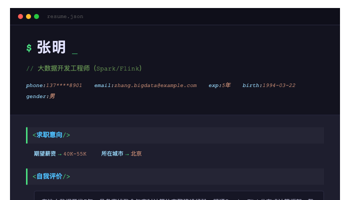 大数据开发工程师（Spark/Flink）简历示例