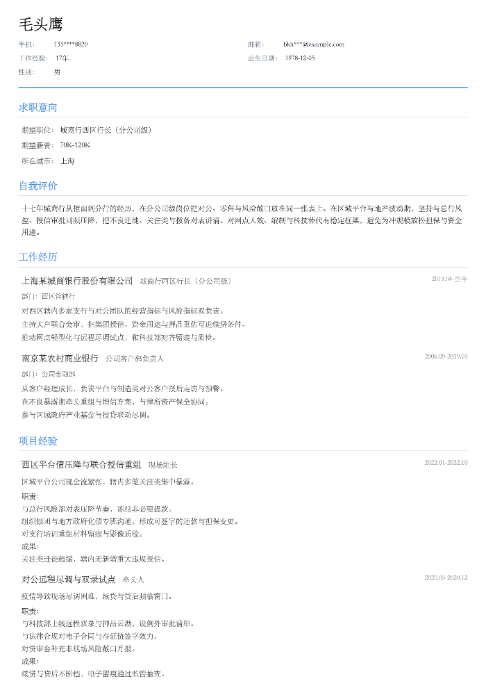 城商行西区行长(分公司级)