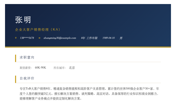 企业大客户销售经理（KA）简历示例