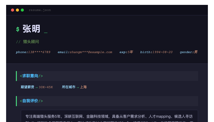 猎头顾问简历示例