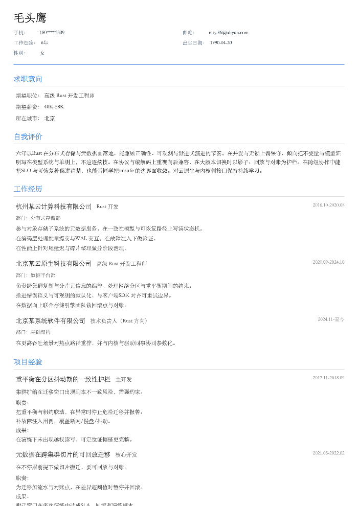 高级 Rust 开发工程师