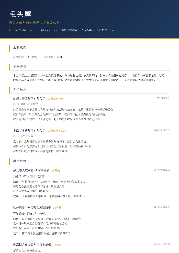 集团人效与编制治理人力资源总监