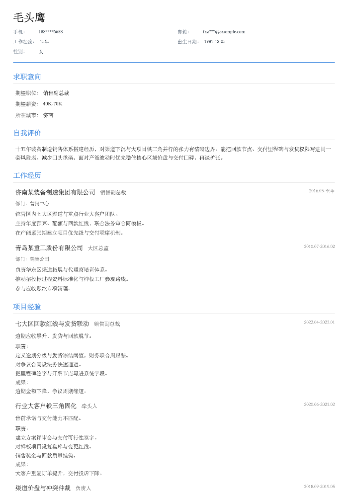 销售副总裁